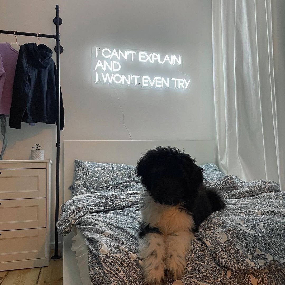 White quote neon sign above a bed with a dog